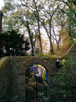 IMG 20151101 104503
