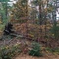 IMG 20151101 133055