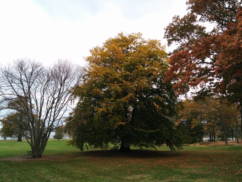 IMG 20151101 134448