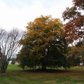 IMG 20151101 134448