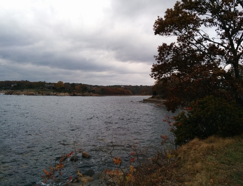 IMG 20151101 134937