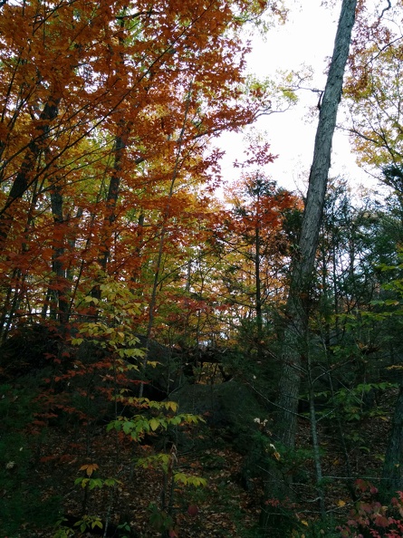 IMG 20151101 145146