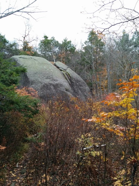 IMG 20151101 145736