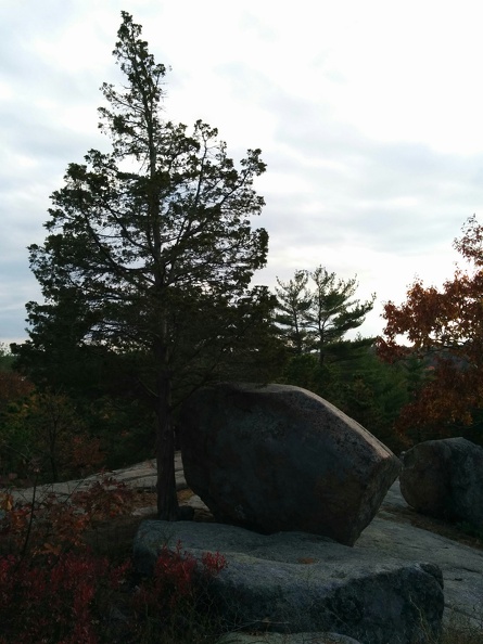 IMG 20151101 151009