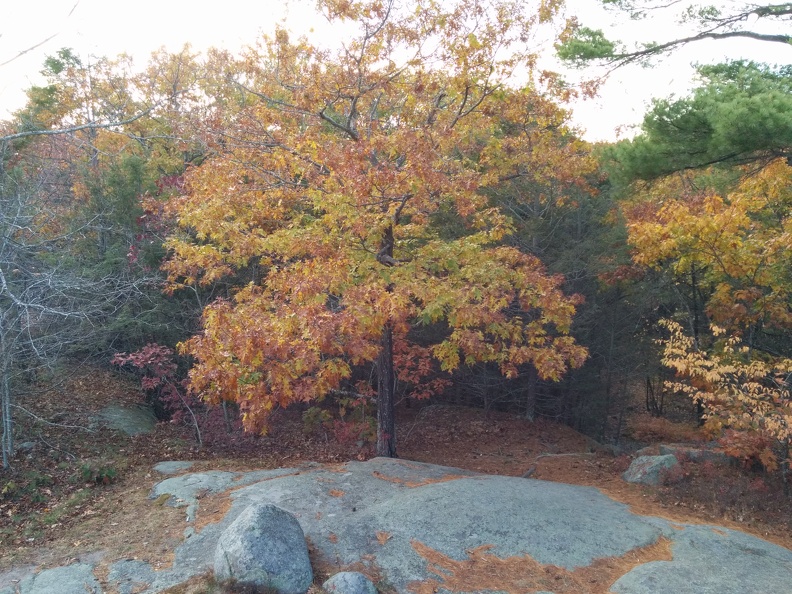 IMG 20151101 151407