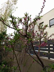 IMG 20160218 083815