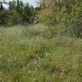 DSC04281