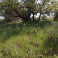 DSC04285.JPG