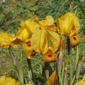DSC04288