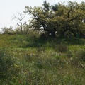 DSC04292
