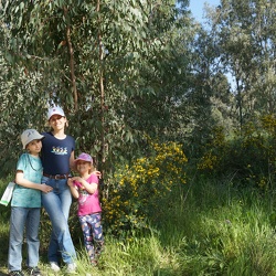 Ilanot Reserve