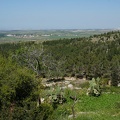 DSC04303