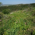 DSC04305
