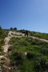 DSC04309