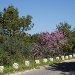 Canada Park