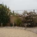 DSC04429