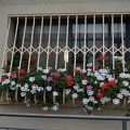 DSC04430