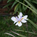 DSC04433