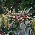 DSC04436
