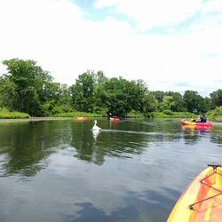 Charles River