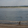 DSC05810
