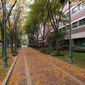 IMG 20161029 121552