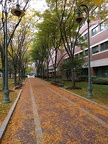 IMG 20161029 121552
