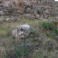 IMG 20170107 112159