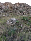 IMG 20170107 112159