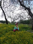 IMG 20170211 124110