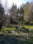 IMG 20170211 141523