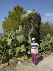 IMG 20170211 121246