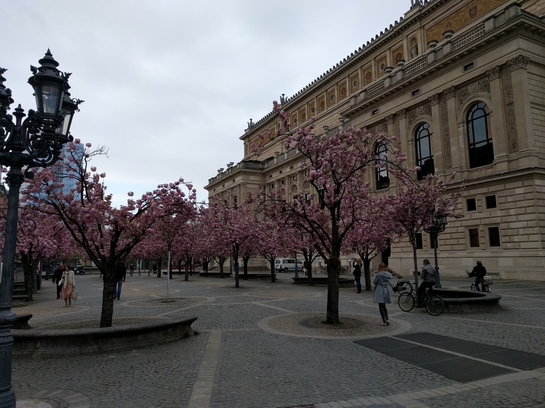 IMG 20170407 092711