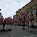 IMG 20170407 092711