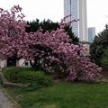 IMG 20170407 093246
