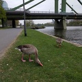 IMG 20170407 134333