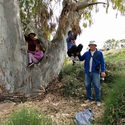 Bitan Aharon