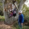 IMG 20170409 151031