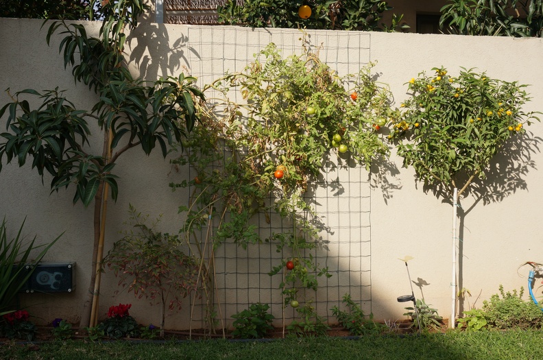 DSC04336