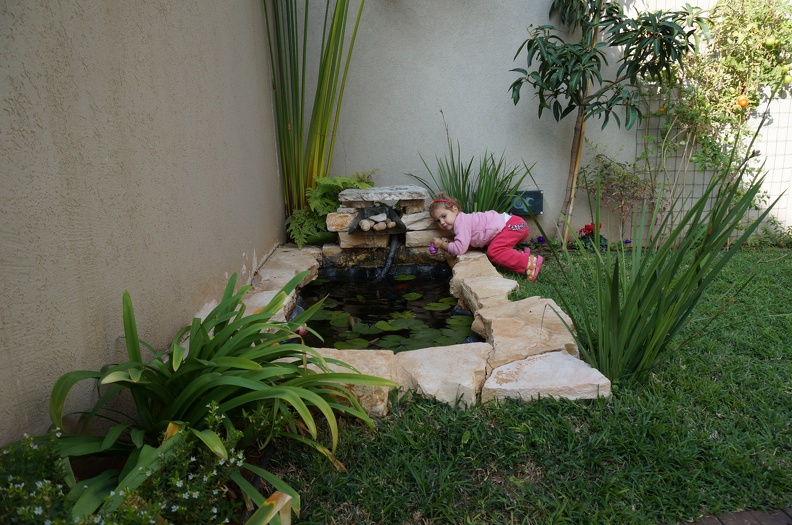 DSC04332