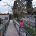 DSC04003