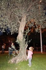 DSC04023