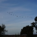 DSC04211