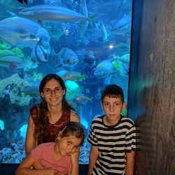 Boston Aquarium Day