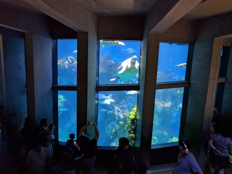IMG 20170709 151226