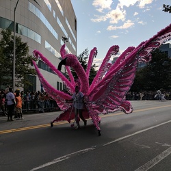 Cambridge Carnival