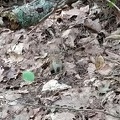 IMG 20170917 132719