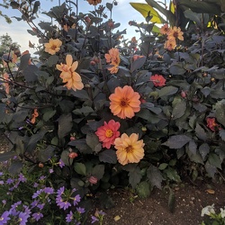 ... and flowers!