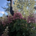 IMG 20180831 175117