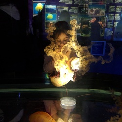 Boston Aquarium